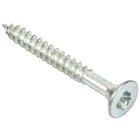 Anti-Vandal Security Screws